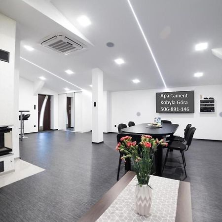 Apartament Iwona Кобыла-Гура Экстерьер фото